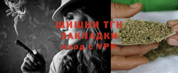 твердый Горняк