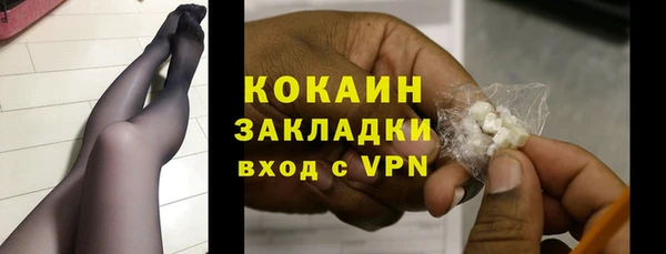 твердый Горняк
