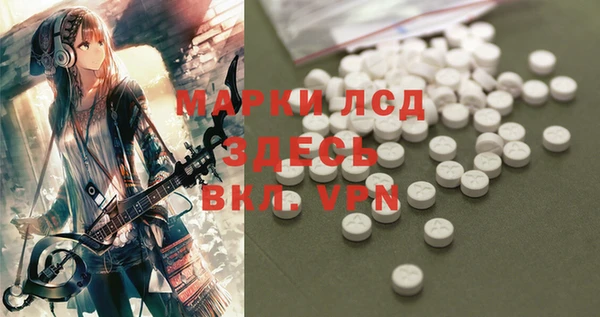 твердый Горняк