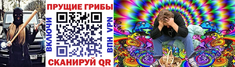 Галлюциногенные грибы GOLDEN TEACHER  купить   Павловская 